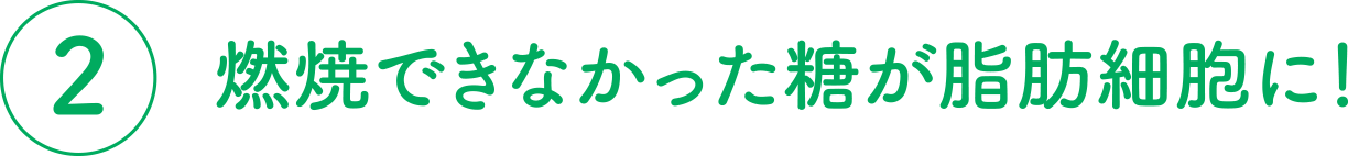 燃焼できなかった糖が脂肪細胞に！