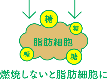 燃焼しないと脂肪細胞に