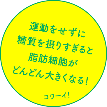 運動をせずに糖質を摂りすぎると脂肪細胞がどんどん大きくなる！