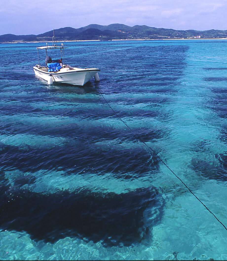 進貨來源從全日本海域，
到全世界海域。