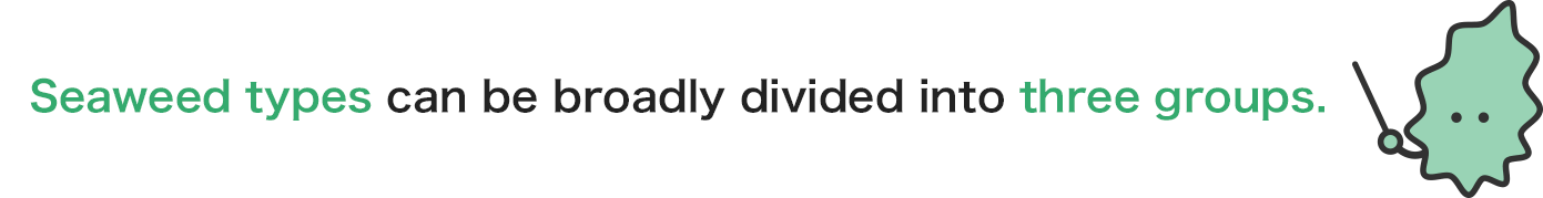 Seaweed types can be broadly divided into three groups.