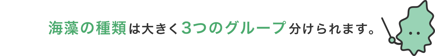 海藻の種類は大きく3つのグループ分けられます。