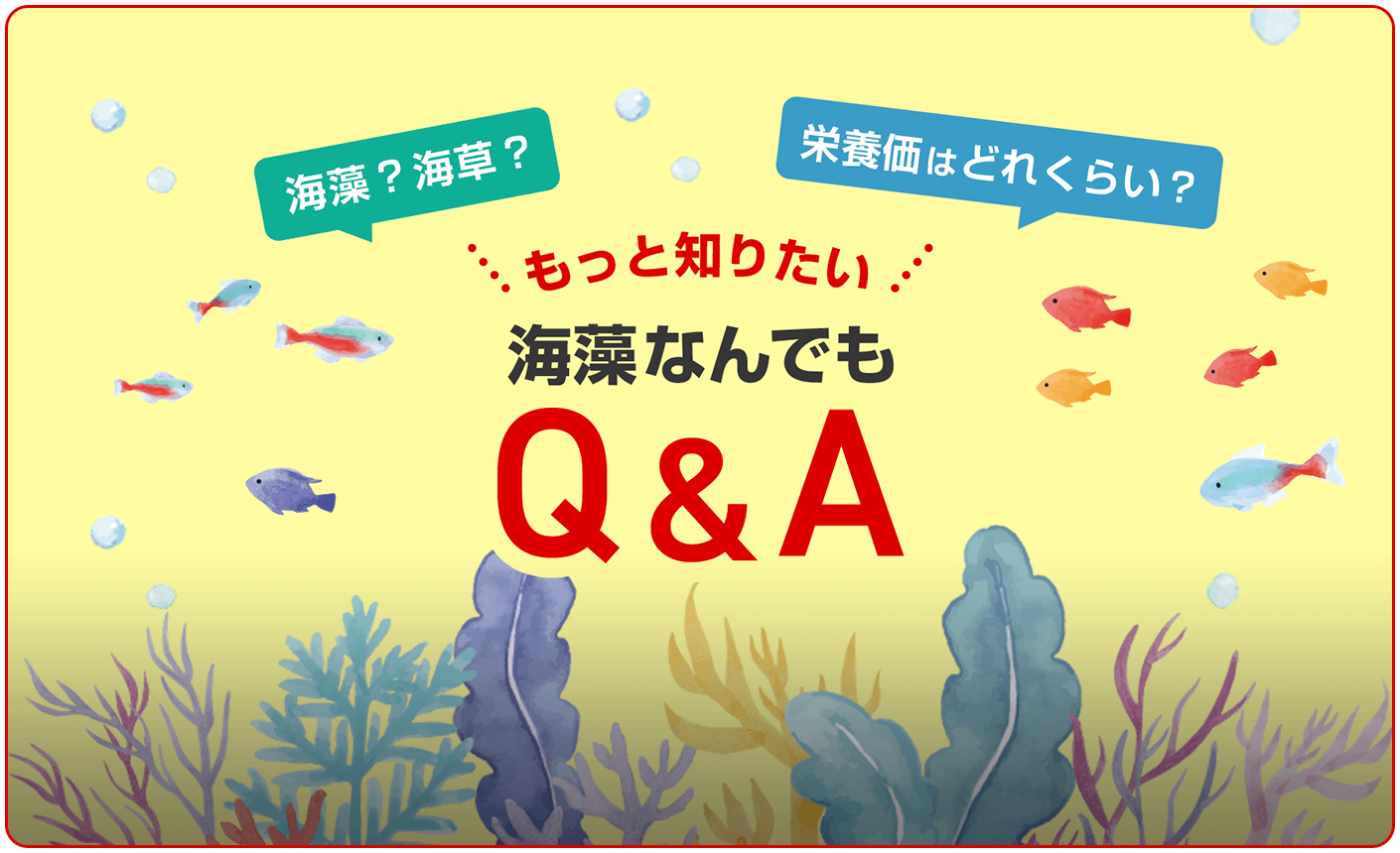 海藻なんでもQ＆A