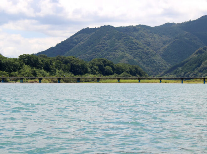 海藻は海以外にも生きてるの？