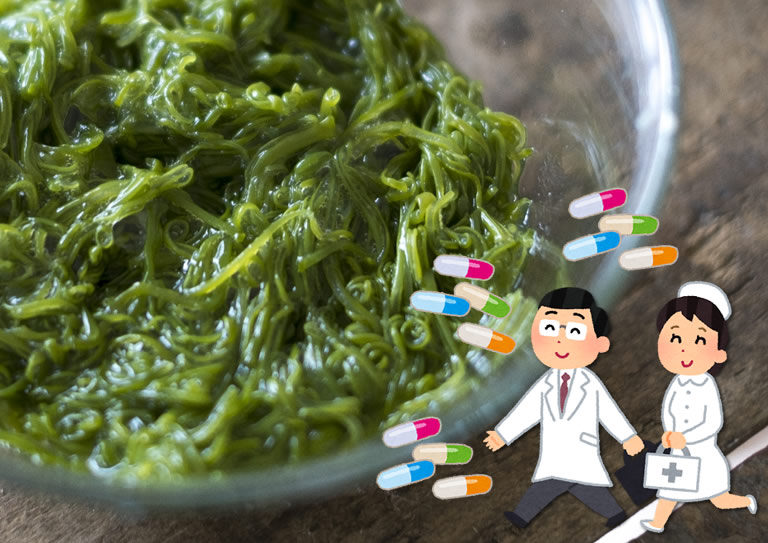 海藻から作る食べ物は？