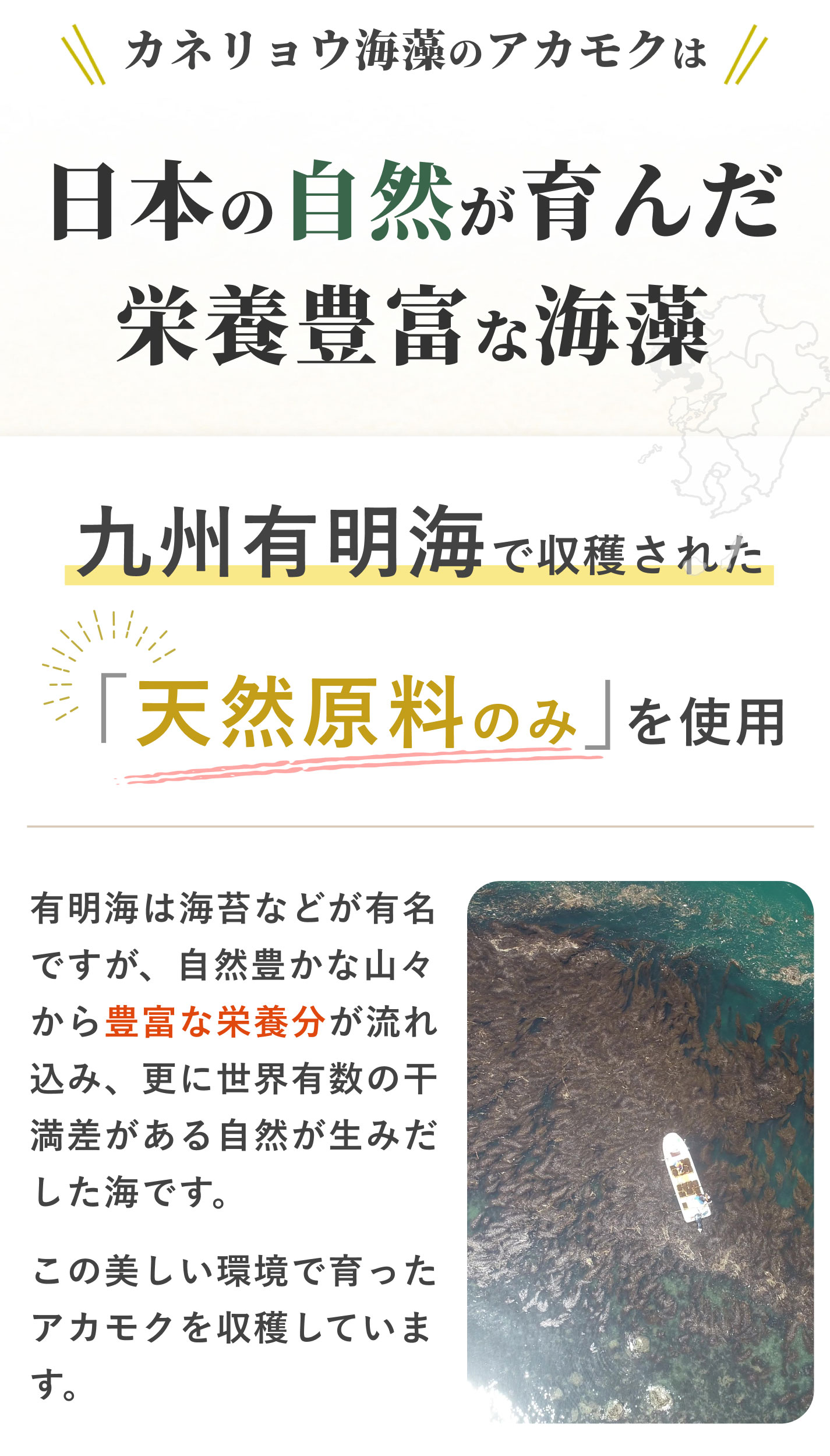 九州有明海で収穫された天然原料のみを使用