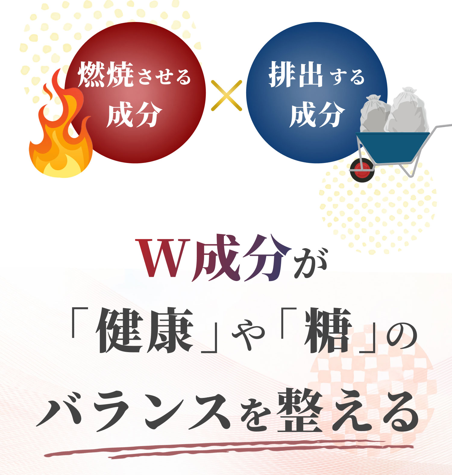 燃焼させる成分×排出する成分