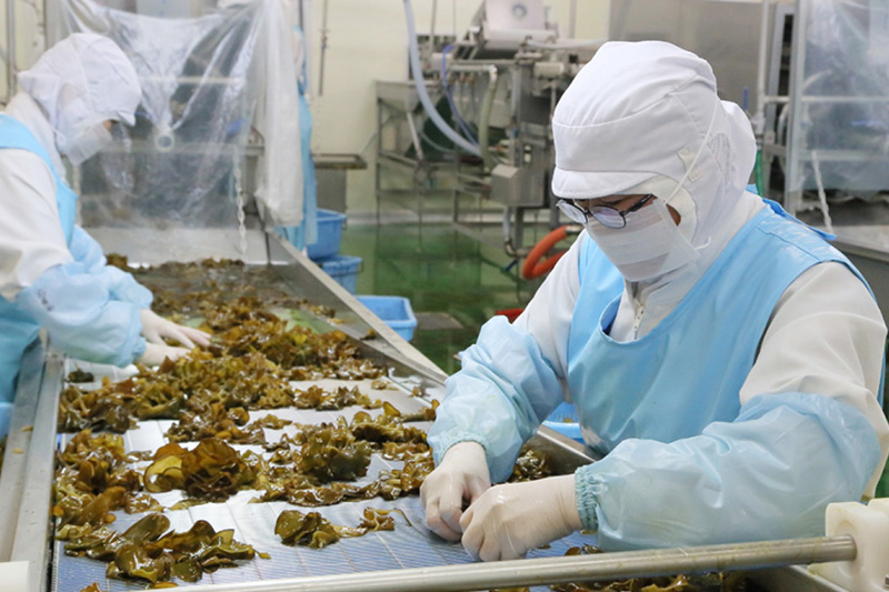 工場の作業風景