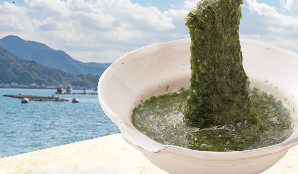 健康的な食生活とアカモク