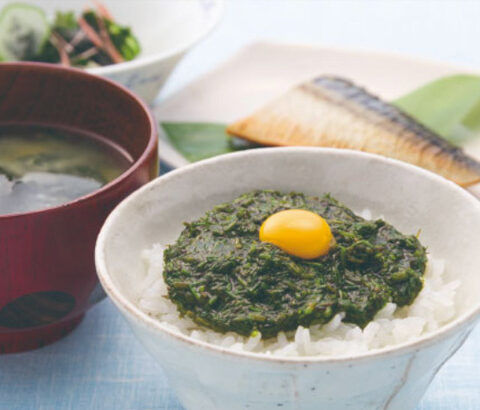 なぜ「アカモク」が選ばれる？ネバネバ成分フコイダンの健康効果を徹底解説