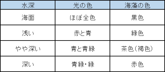 水深と海藻